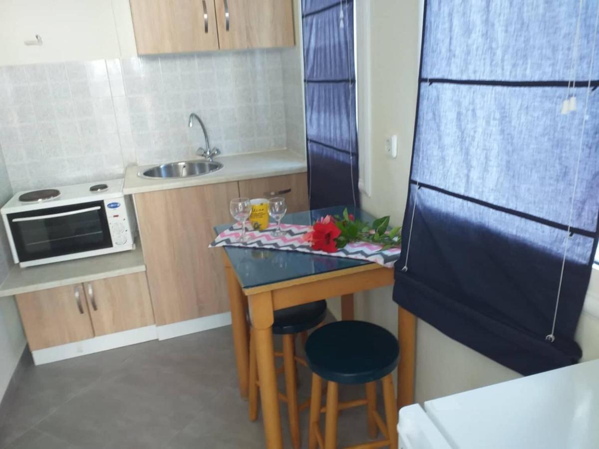 Altina Sea View Apartments Vasilikí Dış mekan fotoğraf